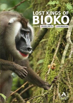 Lost Kings of Bioko's poster