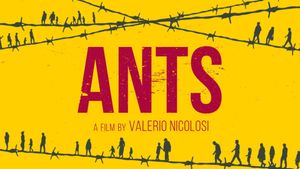 Ants's poster
