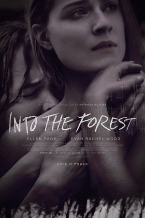 Into the Forest's poster