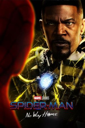 Spider-Man: No Way Home's poster