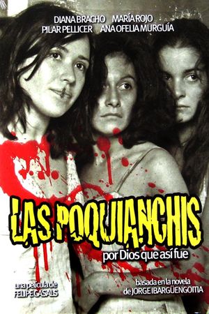 Las poquianchis (De los pormenores y otros sucedidos del dominio público que acontecieron a las hermanas de triste memoria a quienes la maledicencia así las bautizó)'s poster