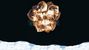Magnolia's poster