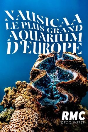 Nausicaa: The Largest Aquarium in Europe's poster