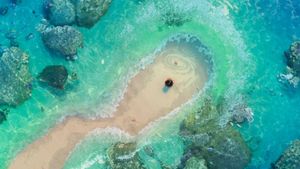 Moana's poster