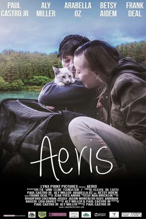 Aeris's poster