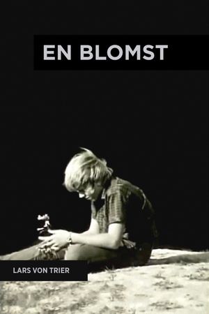 A Flower's poster