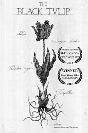 The Black Tulip's poster