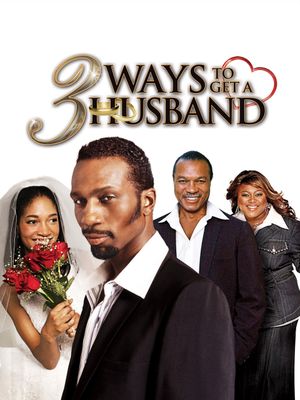 3 Ways to Get a Husband's poster