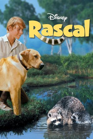 Rascal's poster