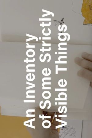 An Inventory of Some Strictly Visible Things's poster