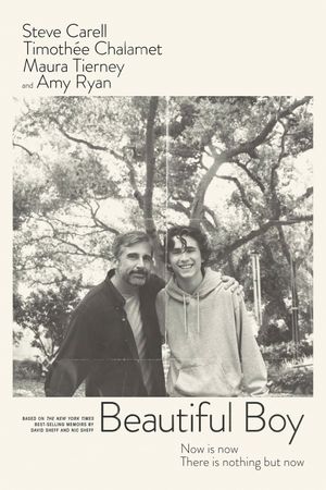 Beautiful Boy's poster