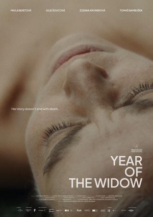 Year of the Widow's poster