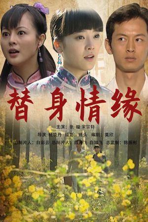 替身情缘's poster