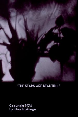 The Stars Are Beautiful's poster