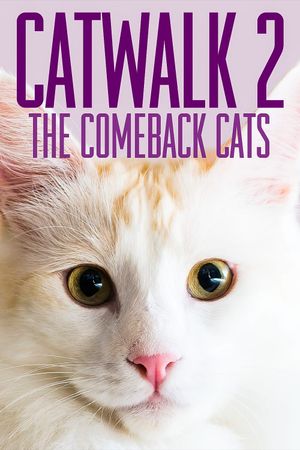 Catwalk 2: The Comeback Cats's poster