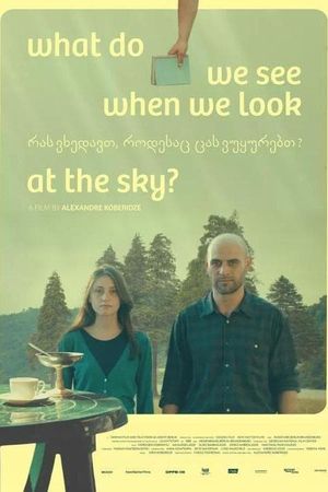 What Do We See When We Look at the Sky?'s poster