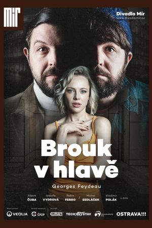 Brouk v hlavě's poster