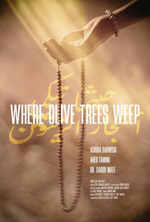Where Olive Trees Weep's poster