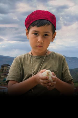 Priklyucheniya malenkogo Bakhi's poster
