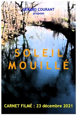 Soleil mouillé's poster