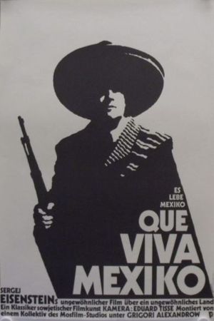 Eisenstein's Mexican Project's poster