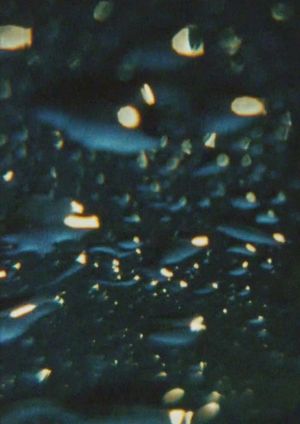 Petrichor's poster