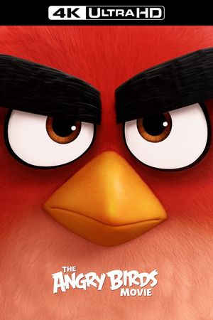 The Angry Birds Movie's poster