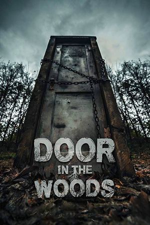Door in the Woods's poster
