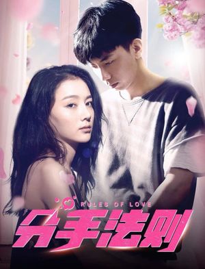 Rules of Love's poster image