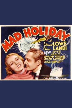 Mad Holiday's poster