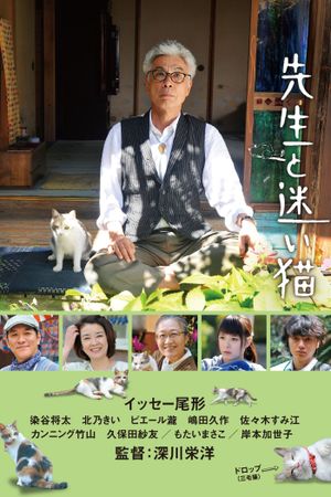 Teacher and Stray Cat's poster