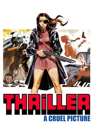Thriller: A Cruel Picture's poster