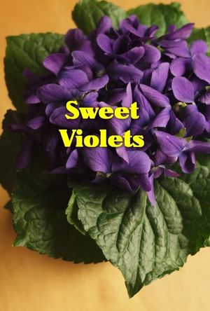 Sweet Violets's poster