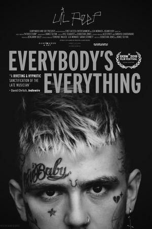 Everybody's Everything's poster