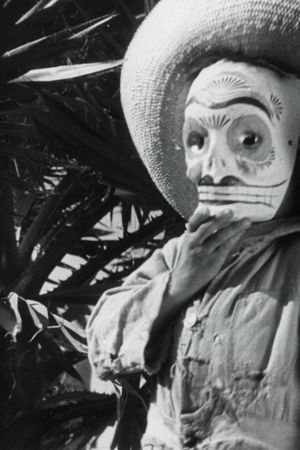 Eisenstein's Mexican Project's poster