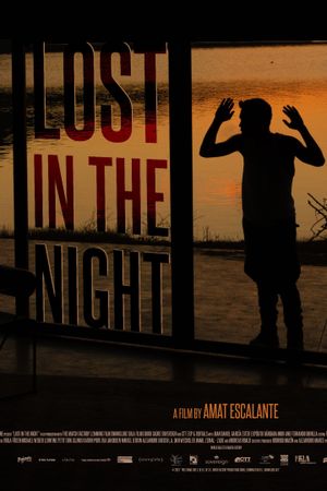 Lost in the Night's poster