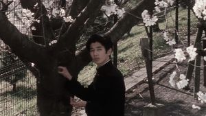 Blue Spring's poster