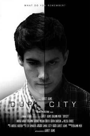Duplicity's poster