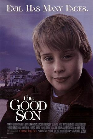 The Good Son's poster