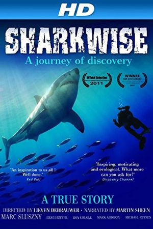 Sharkwise's poster