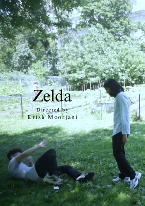 Zelda's poster