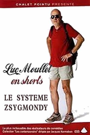 The Zsigmondy System's poster