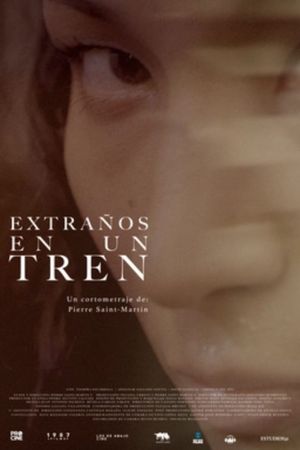 Extraños en un tren's poster image