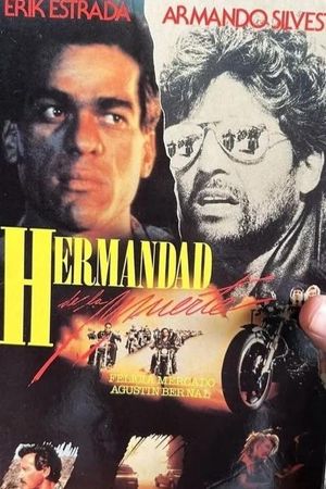 The Last Riders's poster
