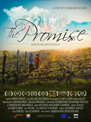 The Promise's poster image