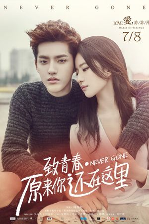 Never Gone's poster