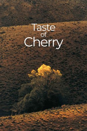 Taste of Cherry's poster