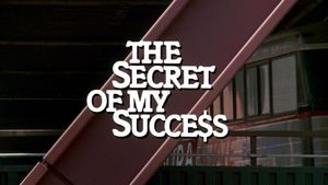 The Secret of My Success's poster