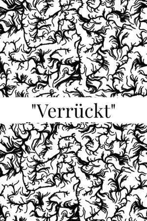Verrückt's poster