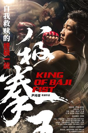 King of Baji Fist's poster